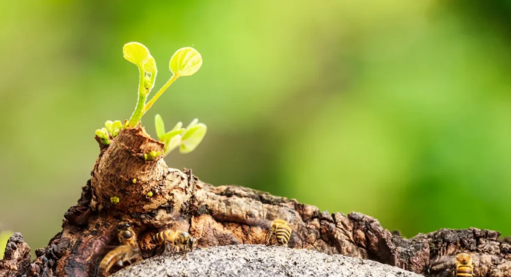 Resilienz – Worum geht es bei dieser für das Arbeitsleben so wichtigen Fähigkeit?