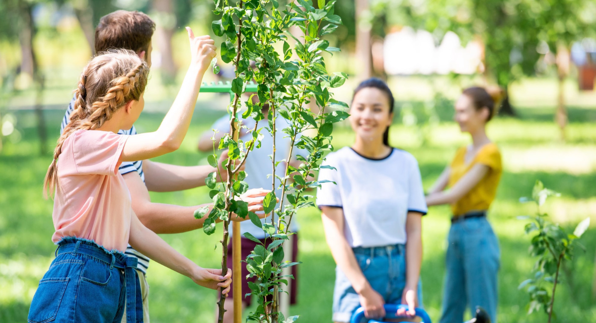 Gemeinschaft, die Bäume gemeinsam pflanzt
